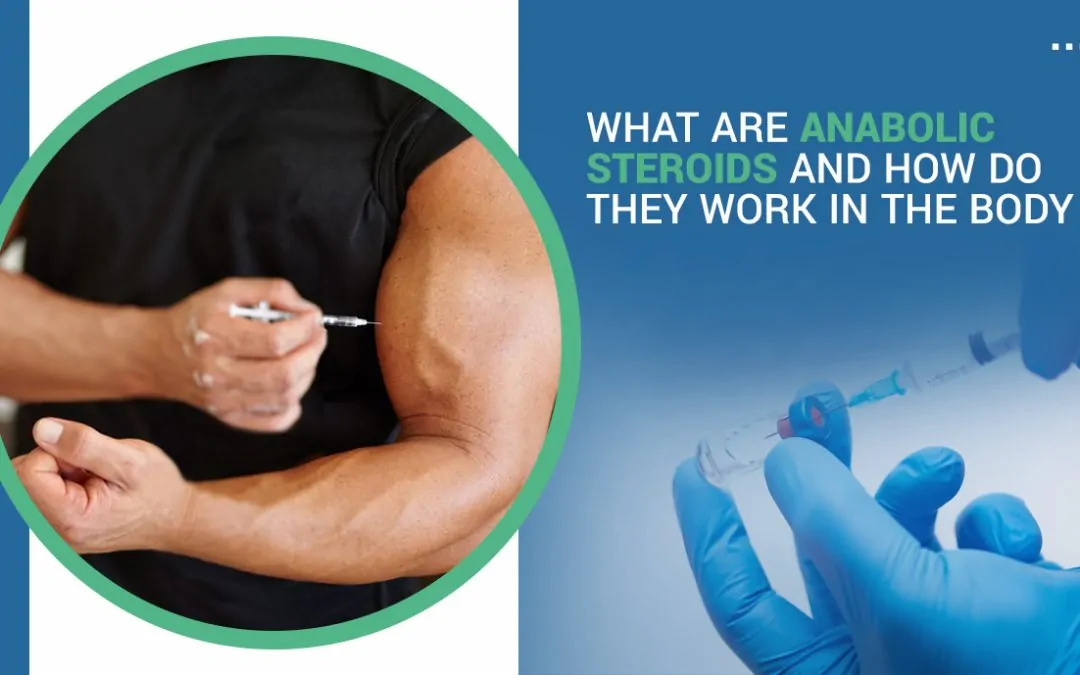 What are Anabolic Steroids and How Do They Work in the Body