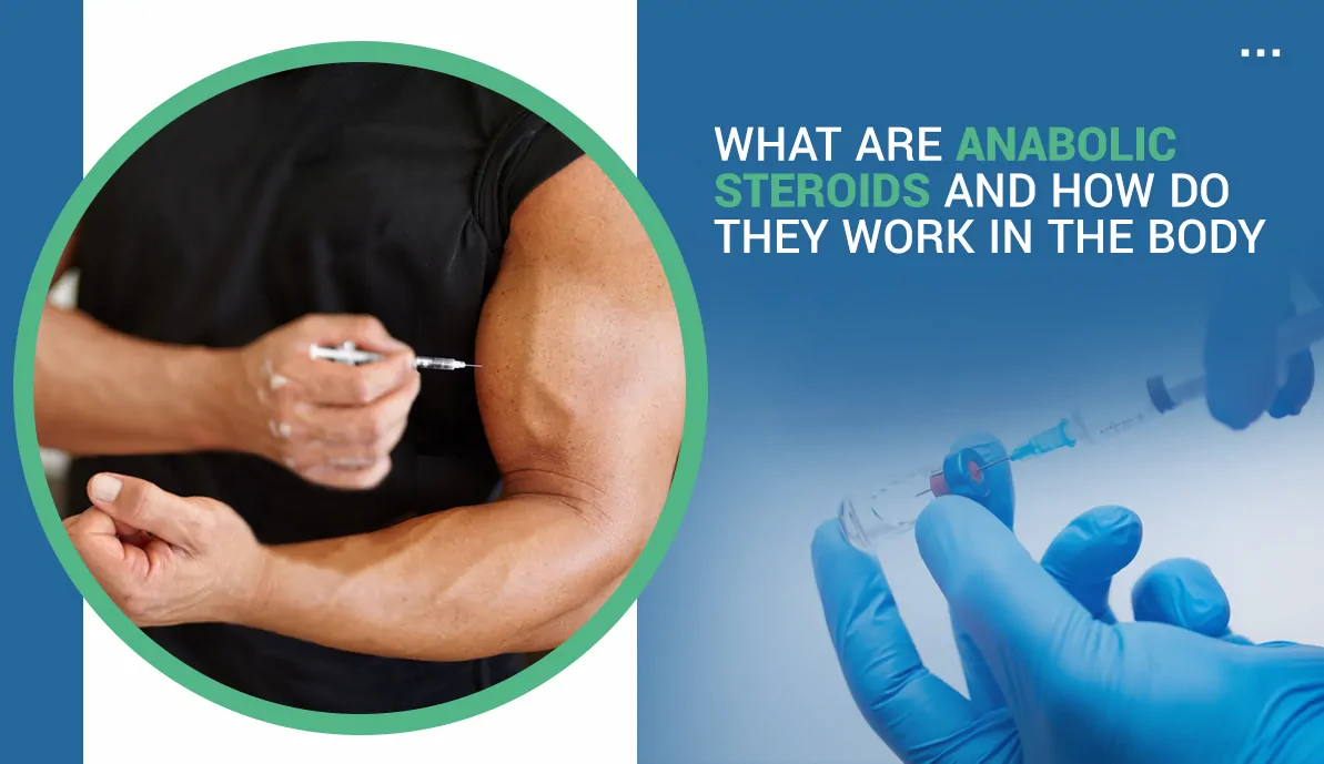 What are Anabolic Steroids and How Do They Work in the Body